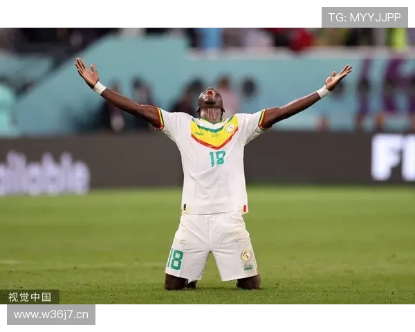 塞内加尔门将遭抢毛巾讲体育精神